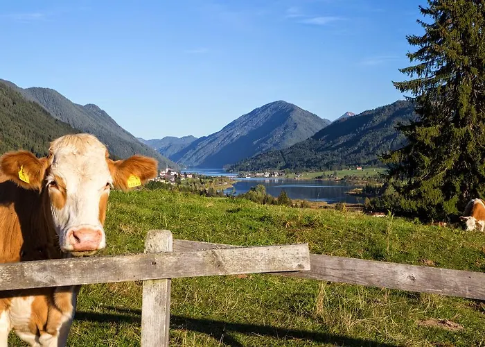 Haus Kalt Privat bolig Weissensee